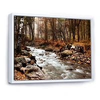 Stream Autumn Forest  Canvas Print