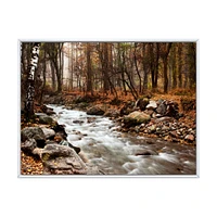 Stream Autumn Forest  Canvas Print