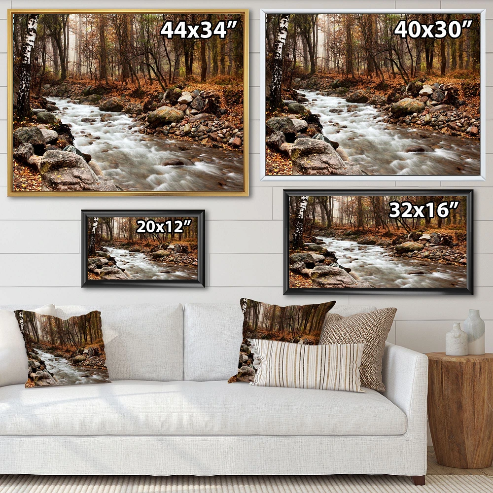 Stream Autumn Forest  Canvas Print