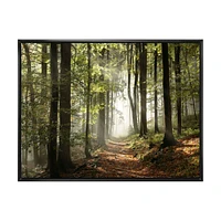 Green Fall Forest with Sun Rays  Canvas Print