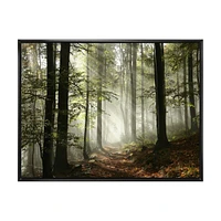 Light Dense Fall Forest with Fog  Canvas Art Print