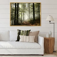 Light Dense Fall Forest with Fog  Canvas Art Print