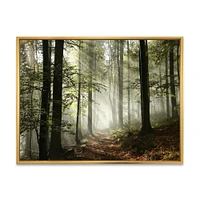 Light Dense Fall Forest with Fog  Canvas Art Print