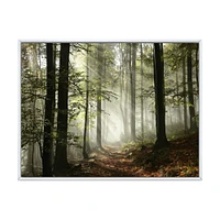 Light Dense Fall Forest with Fog  Canvas Art Print