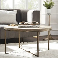 Liana Odd Shape Coffee Table