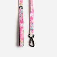 Dog's Collar, Leash and Harness Combo by SilverPaw