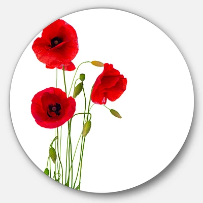 Isolated Red Poppy Flowers Round Wall Art