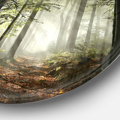 Light Dense Fall Forest with Fog Round Wall Art