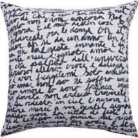 Cinncinati Indoor Pillow