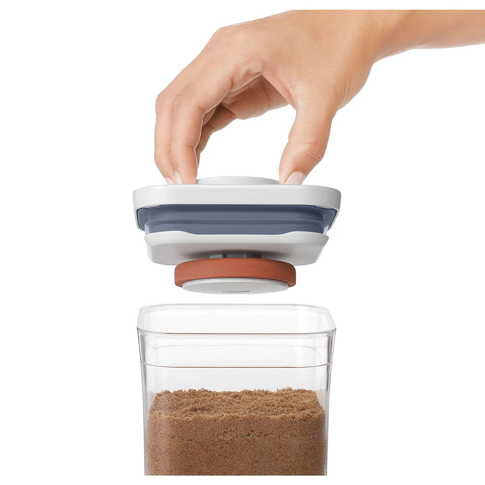 Oxo Pop 2.0 Brown Sugar Keeper Disk