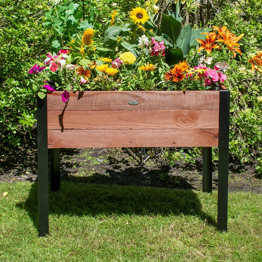 Wide Wood Raised Rectangle Planter