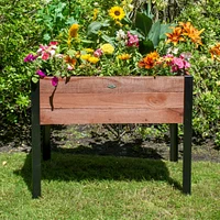Wide Wood Raised Rectangle Planter