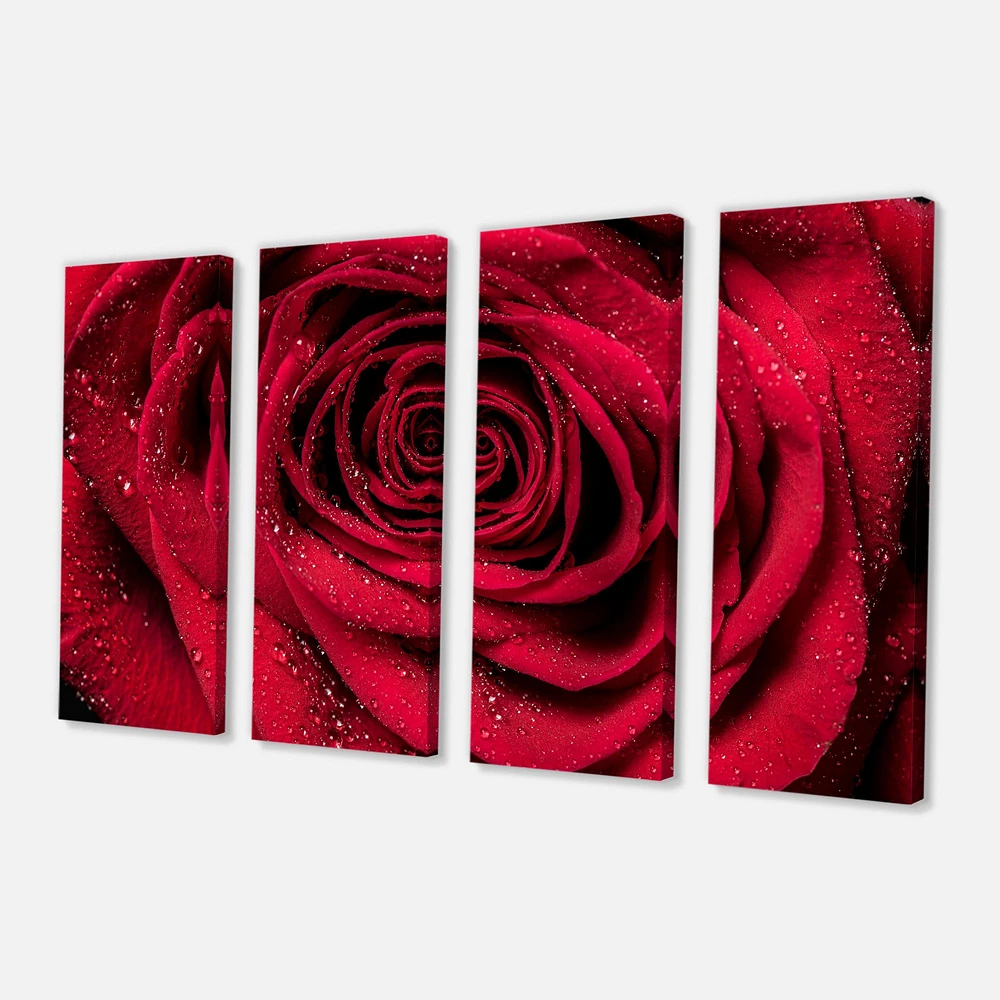 Red Rose Petals with Rain Droplets  Canvas Art Print