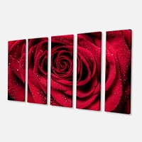 Red Rose Petals with Rain Droplets  Canvas Art Print