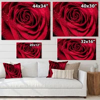 Red Rose Petals with Rain Droplets  Canvas Art Print