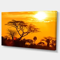 Orange Glow of African Sunset  Wall Art