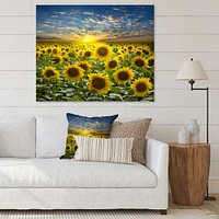 Field of Blooming SunFlowers  Canvas Wall Art