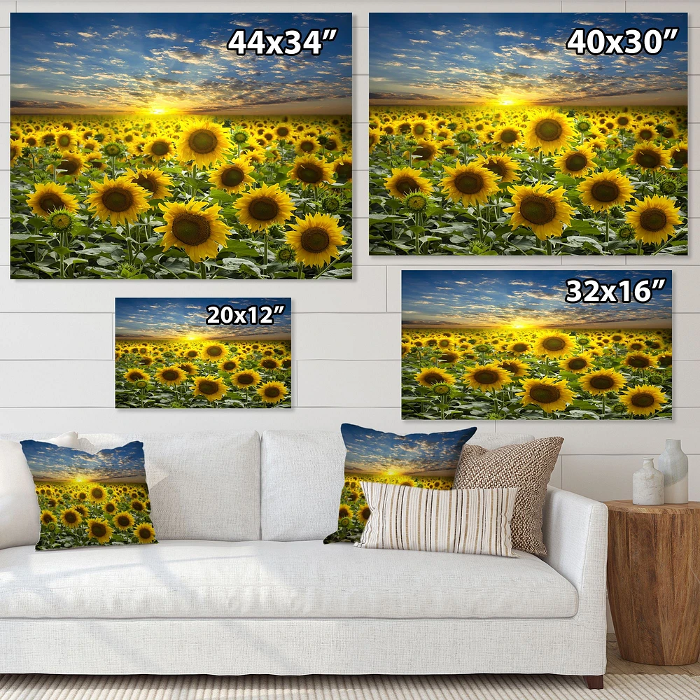 Toile « Field of Blooming SunFlowers »