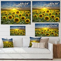 Field of Blooming SunFlowers  Canvas Wall Art