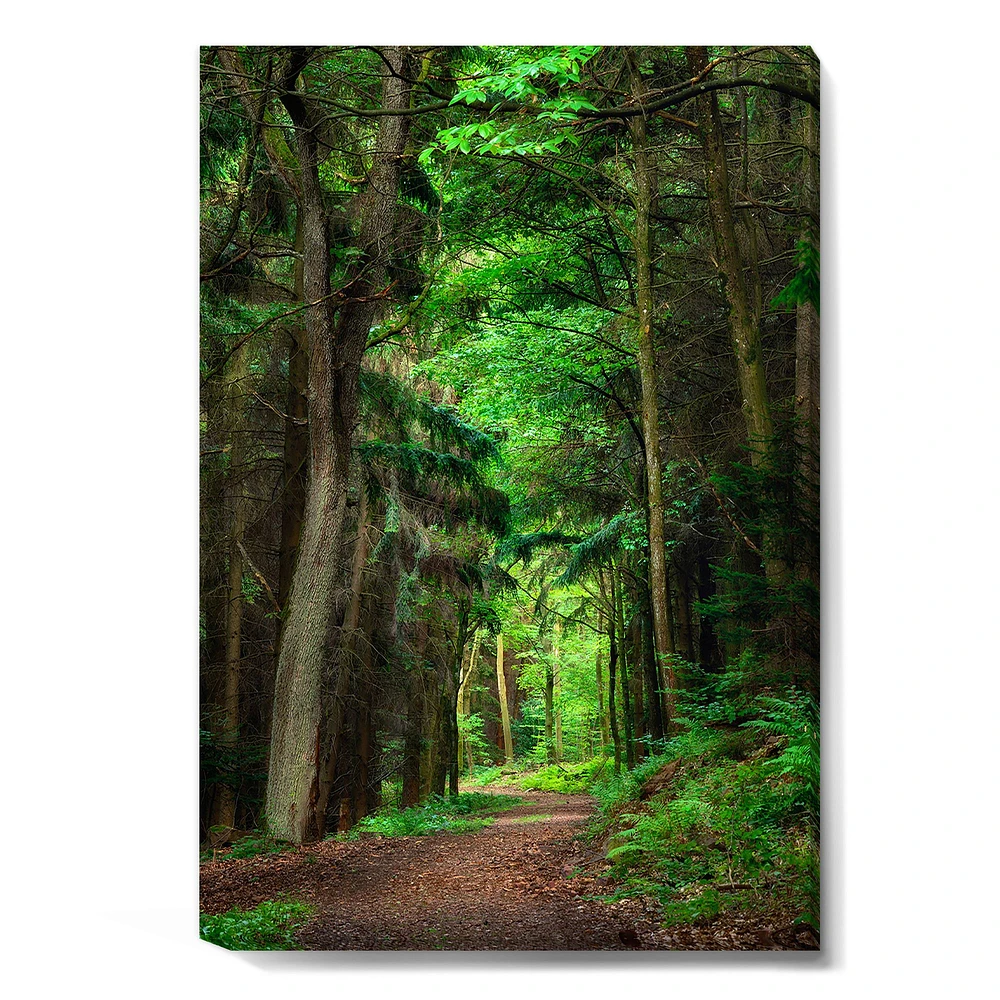 Dreamy Greenery Dense Forest  Wall Art Canvas