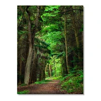 Dreamy Greenery Dense Forest  Wall Art Canvas