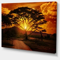 African Sunset with Lonely Tree  Wall Art