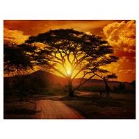 African Sunset with Lonely Tree  Wall Art