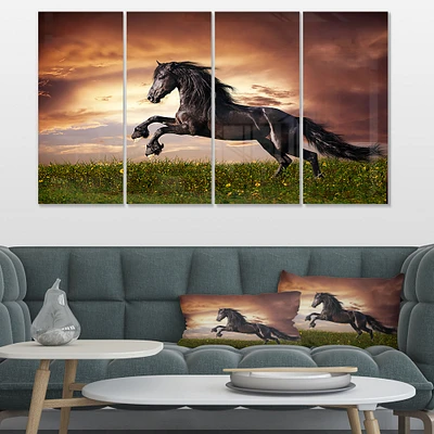 Black Friesian Horse Gallop  Canvas Wall Art