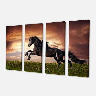 Toile « Black Friesian Horse Gallop