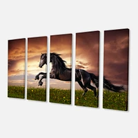 Black Friesian Horse Gallop  Canvas Wall Art