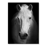 White Horse Black and  Wall Art