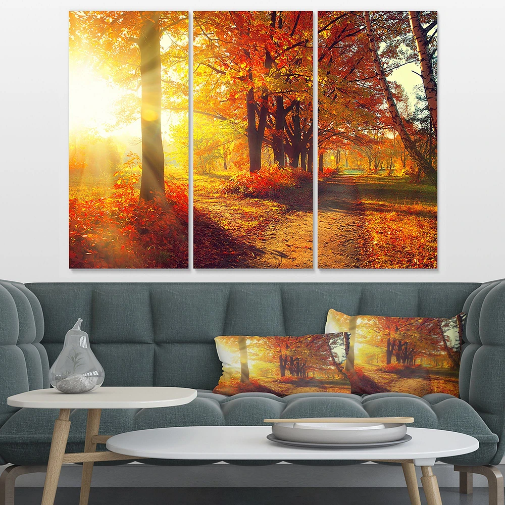 Autumnal Trees in Sunrays Canvas Wall Art - 3 Panels