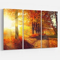 Autumnal Trees in Sunrays Canvas Wall Art - 3 Panels