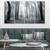 Black and White Foggy Forest Canvas Wall Art - 4 Panels