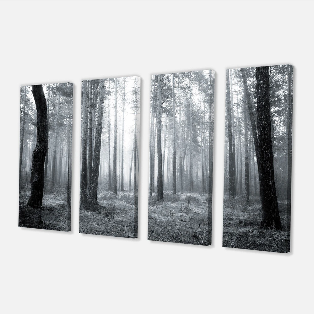 Black and White Foggy Forest Canvas Wall Art - 4 Panels