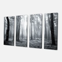 Black and White Foggy Forest Canvas Wall Art - 4 Panels