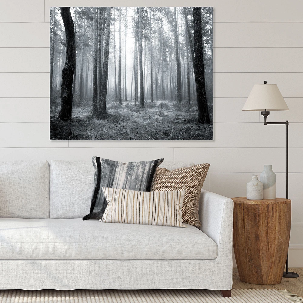 Toile « Black and White Foggy Forest