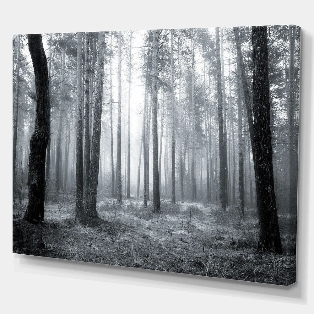 Black and White Foggy Forest Canvas Wall Art