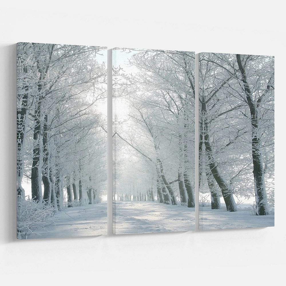 Panneaux de toile « Winter Road Backlit my Morning Sun »