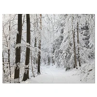 Dense Winter Forest and Lane  Wall Art