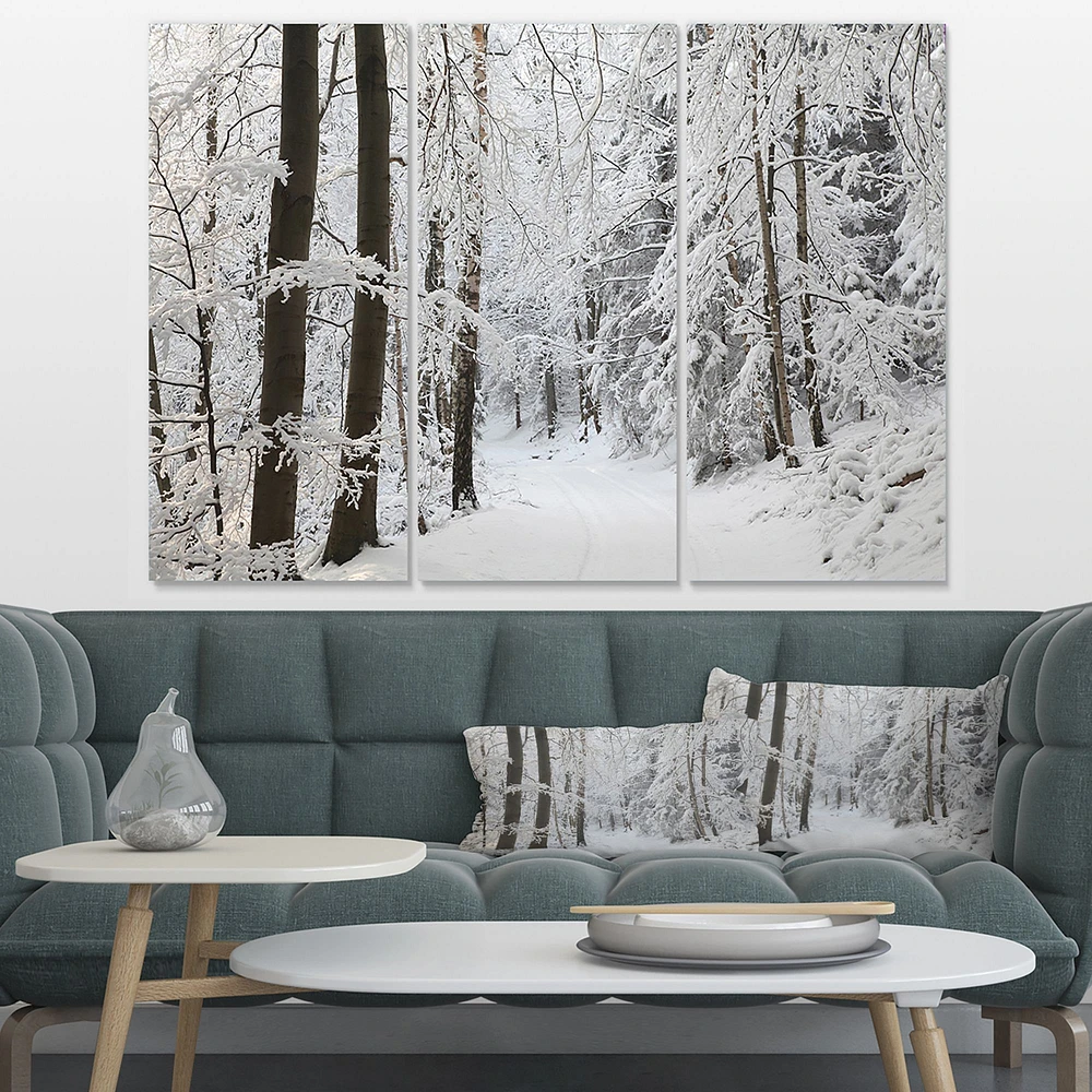 Toile « Dense Winter Forest and Lane