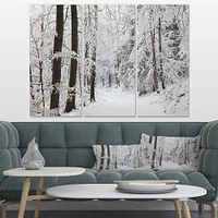 Dense Winter Forest and Lane  Canvas Wall Art