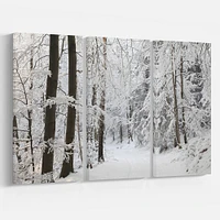 Dense Winter Forest and Lane  Canvas Wall Art