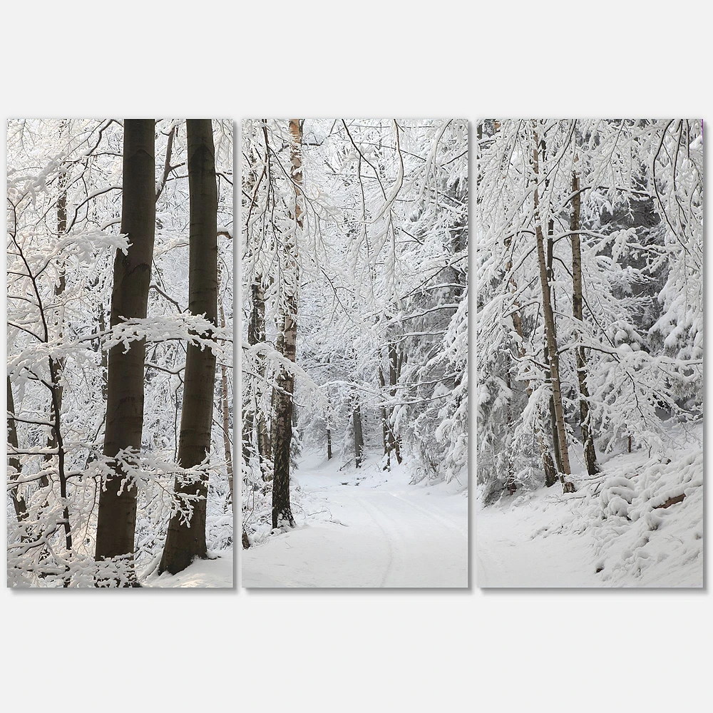 Dense Winter Forest and Lane  Canvas Wall Art