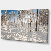 Winter Snow Covered Wood  Wall Art