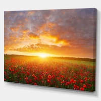 Toile « Poppy Field under Bright Sunset »