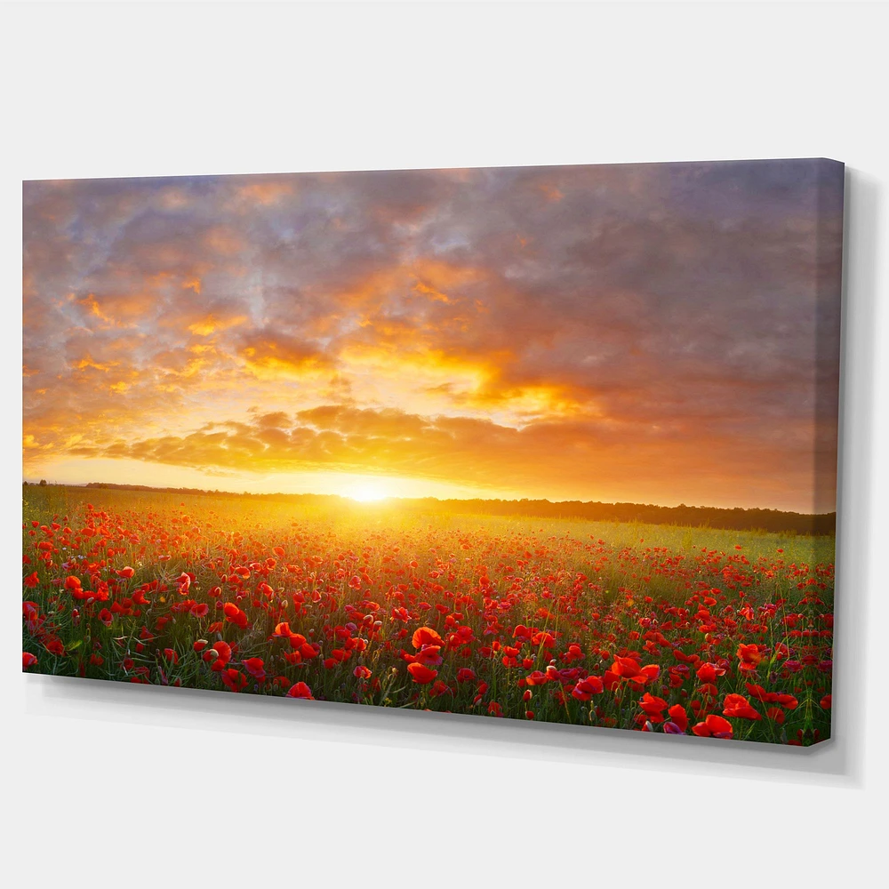 Poppy Field under Bright Sunset  Wall Art