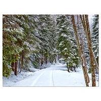 Snowy Road the Forest  Wall Art