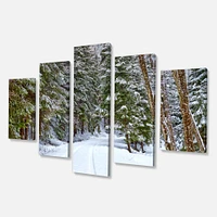 Snowy Road the Forest  Canvas Wall Art