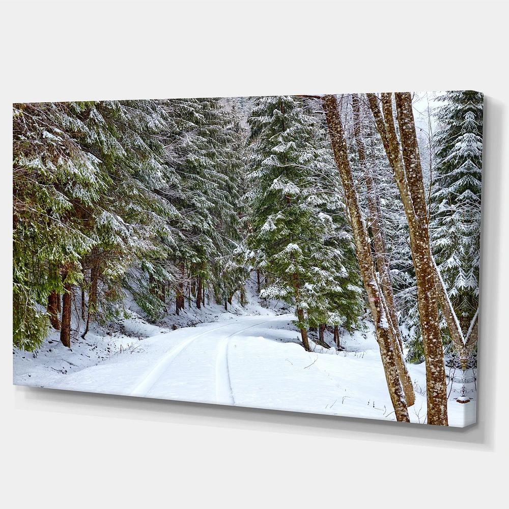 Snowy Road the Forest  Wall Art